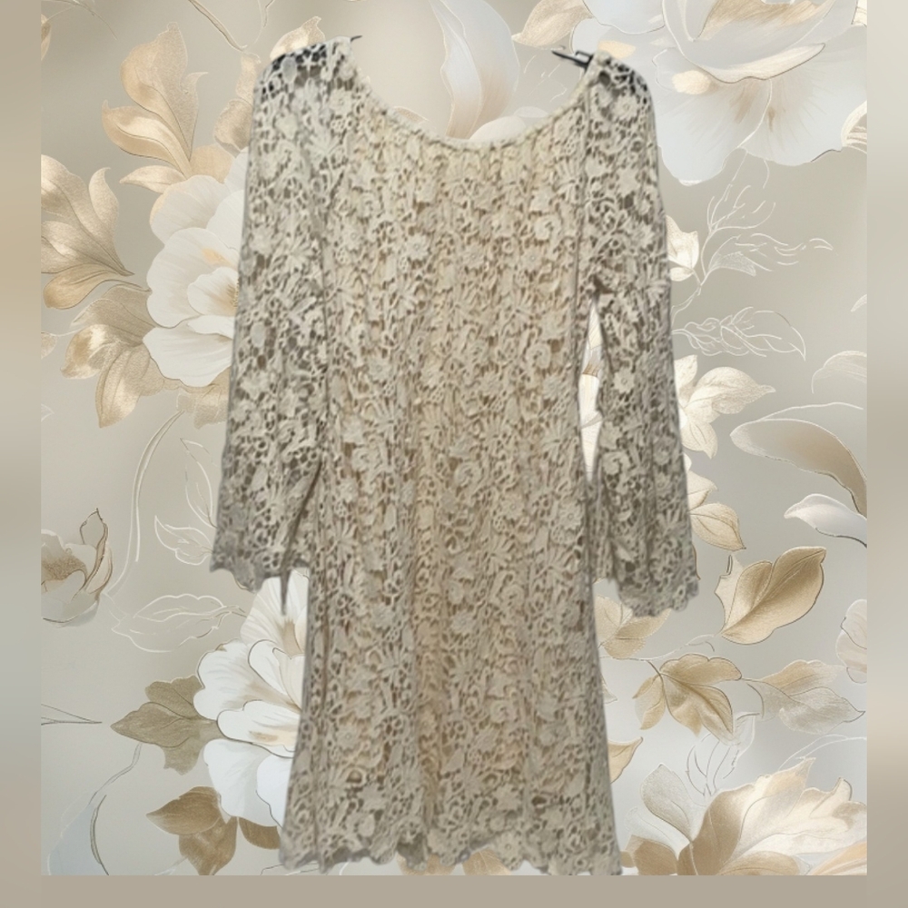 Bronte Elegant Cream Lace Dress